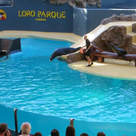 Ocean View أذيخي