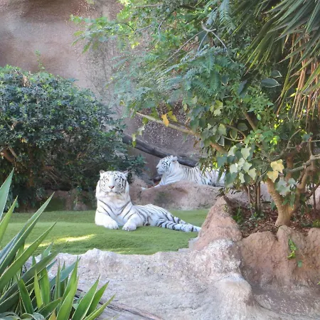 Appartement Ocean View *