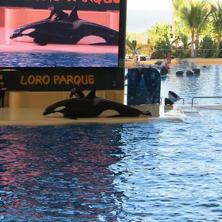 Appartement Ocean View *