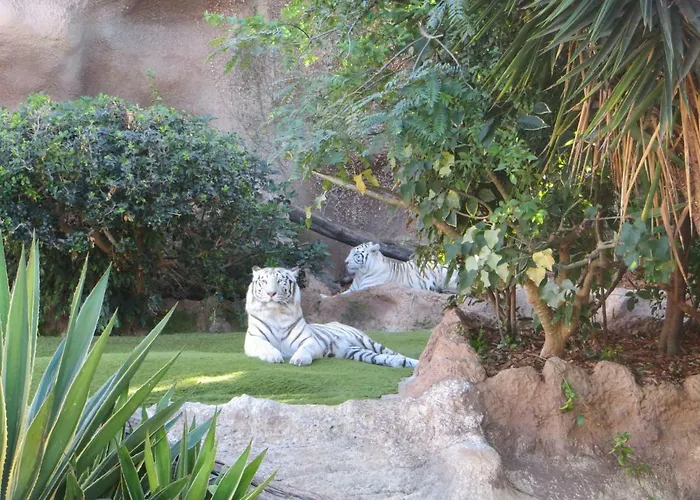 Apartmán Ocean View *