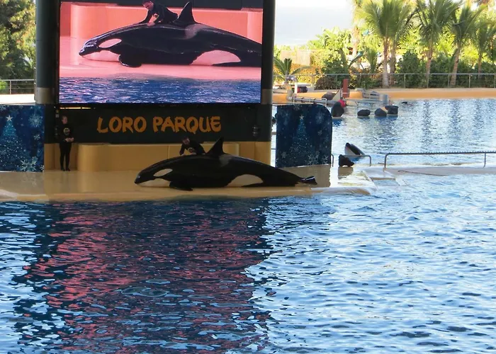 Apartmán Ocean View *